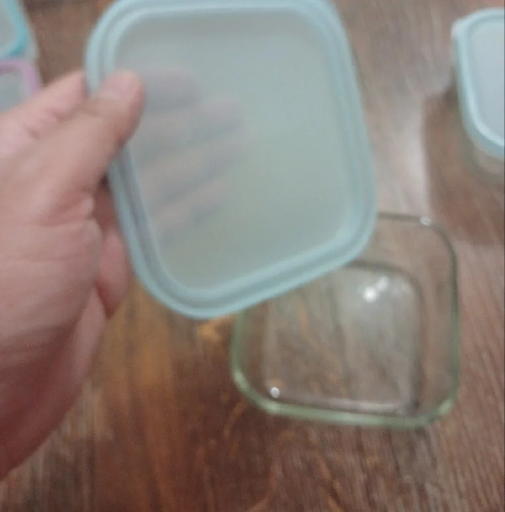 Glass Food Storage Containers Set with Blue and Pink Lids
